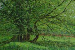 Spring Greens