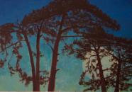 Moon with Pines