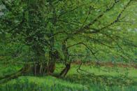 Spring Greens